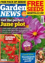 issue 17/06/2023